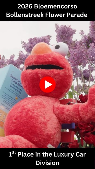 Bloemencorso Bollenstreek Video