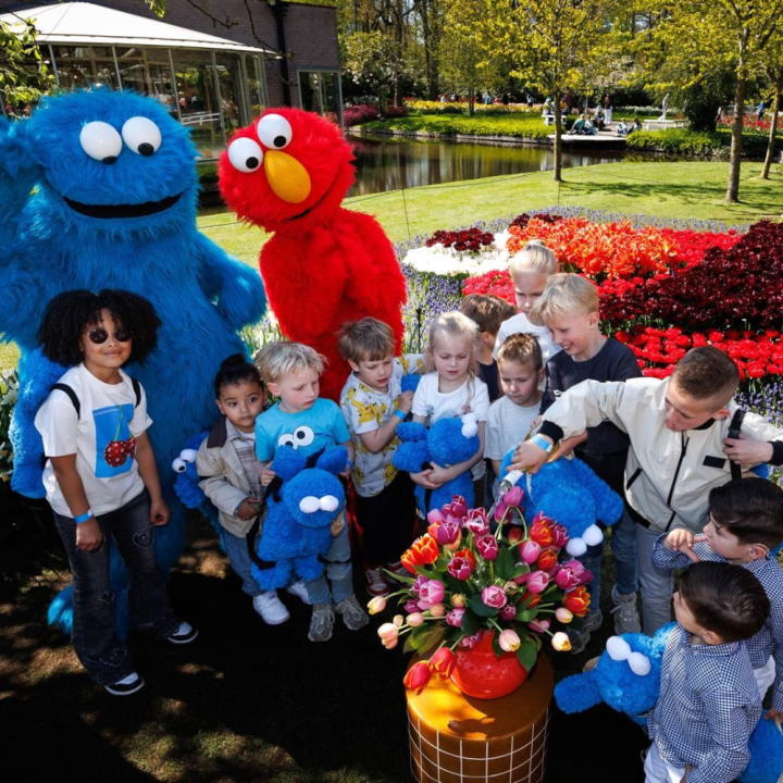 Sesame Street Tulips at Keukenhof