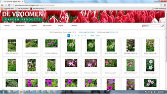 Picture database