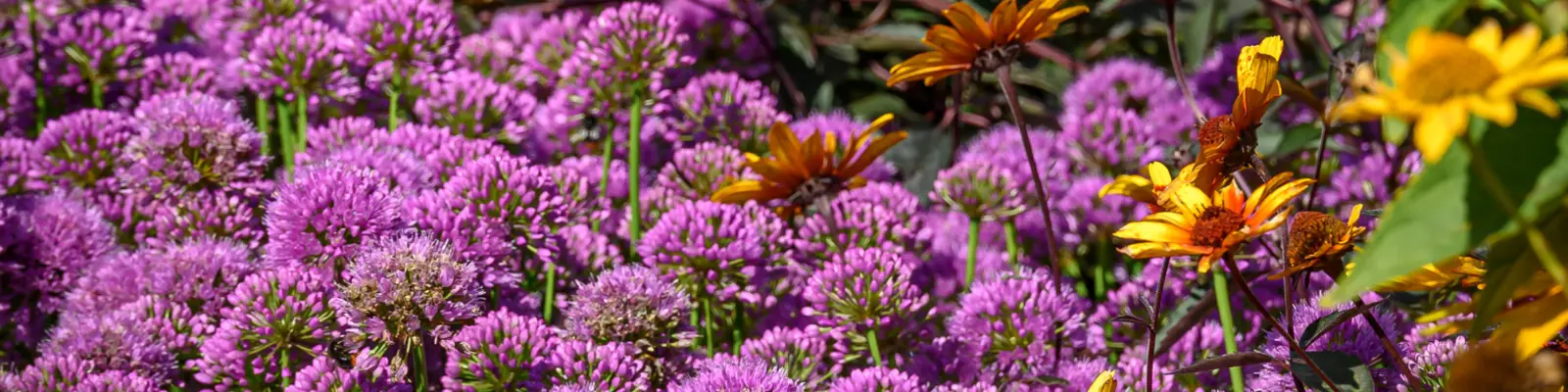 DE VROOMEN GARDEN PRODUCTS