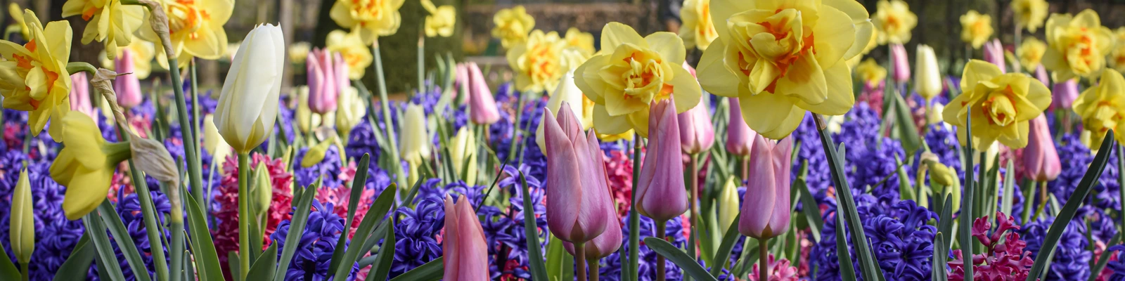 DE VROOMEN GARDEN PRODUCTS