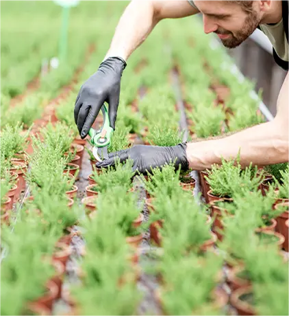 Professional Growers