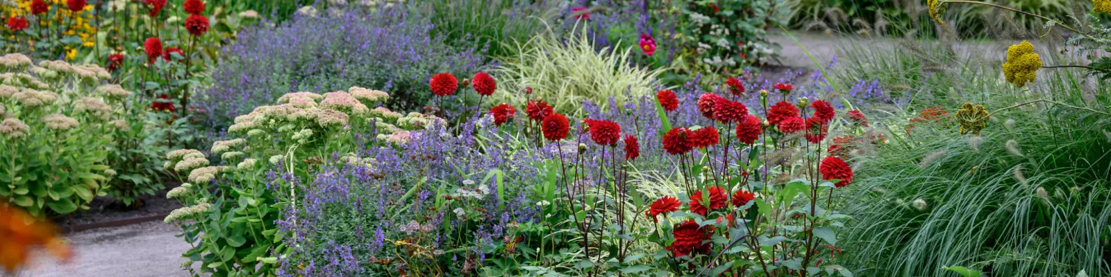 DE VROOMEN GARDEN PRODUCTS