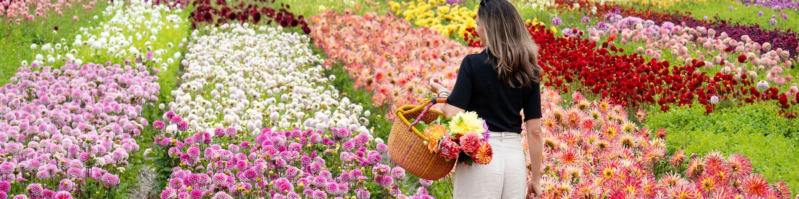 DE VROOMEN GARDEN PRODUCTS