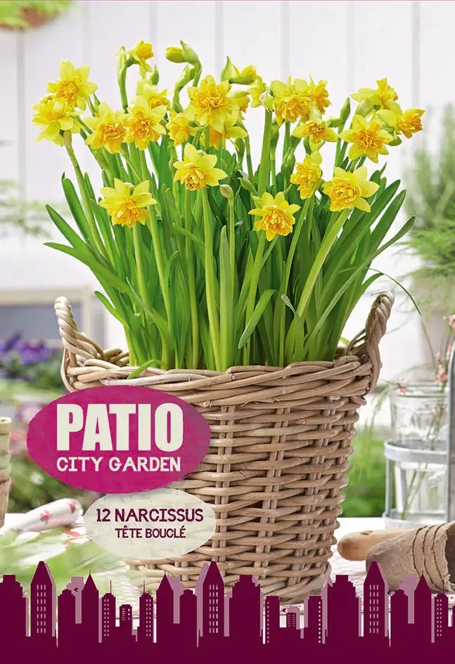 Patio City Garden