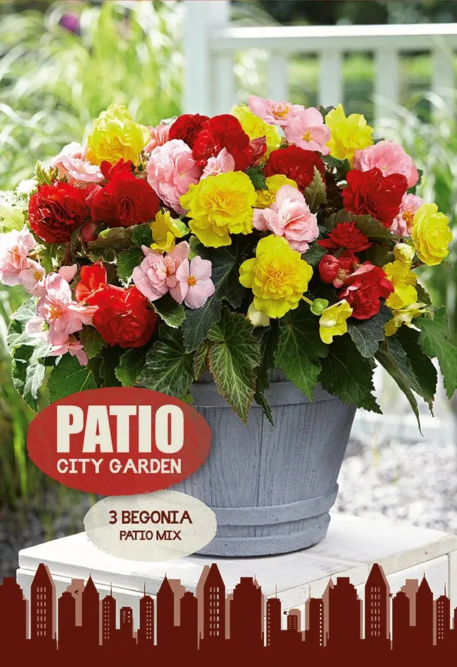 Patio City Garden