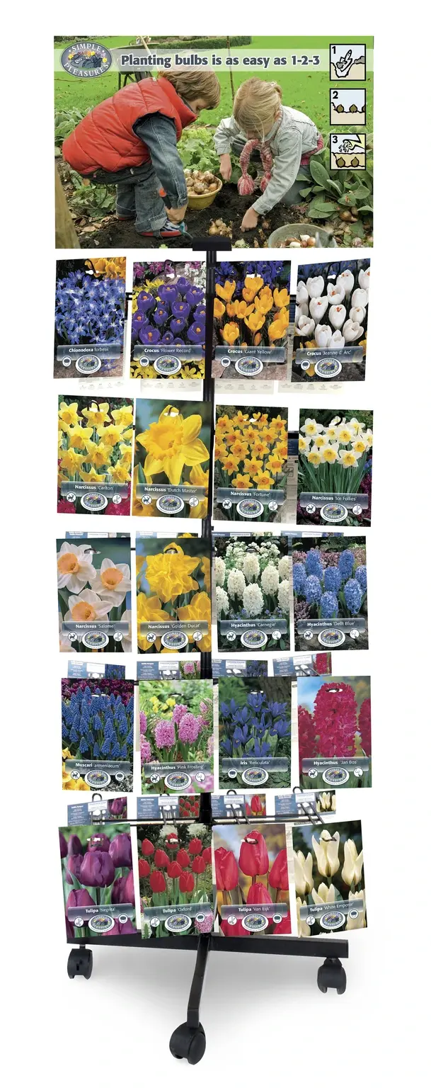 Store Ready Collections