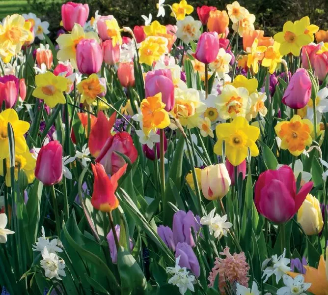 Creating Weeks of Spring Color