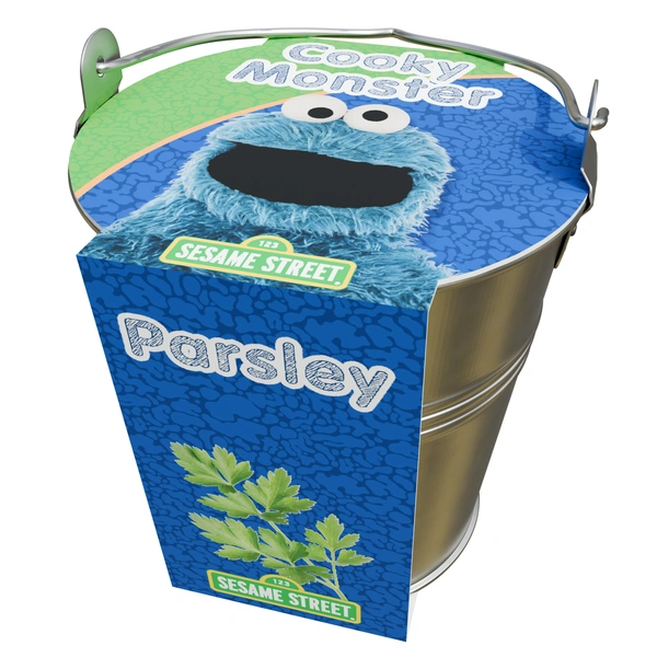 DeVroomen’s Sesame Street® Bulb Collection