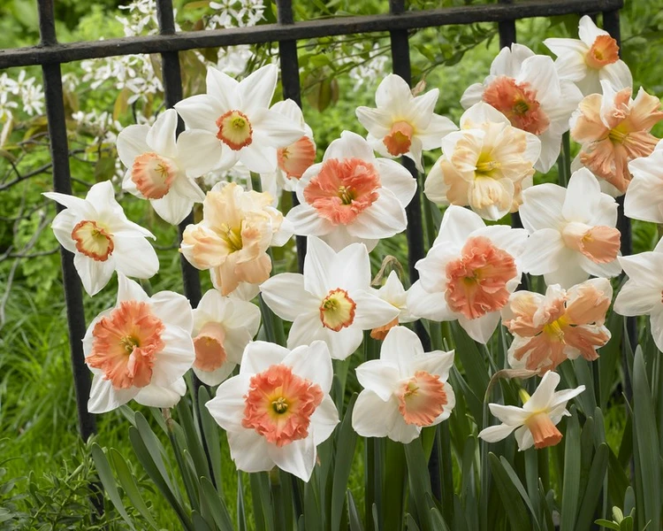 Fall Stock Now 30% Off