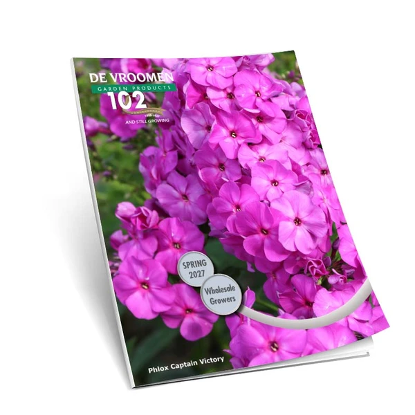 Our 2027 Spring Wholesale Catalog is Now Available.