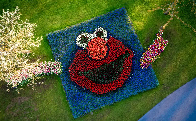 Sesame Street Tulips at Keukenhof