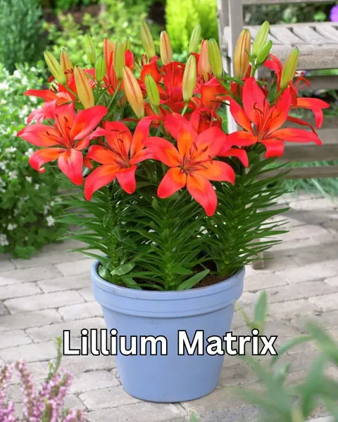 Spring’s Not Over Yet – Save 30% While You Can!