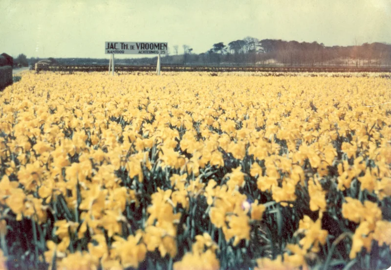 The final days of celebrating DeVroomen’s 100-year anniversary are here!