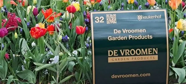 What an Exciting Week For DeVroomen