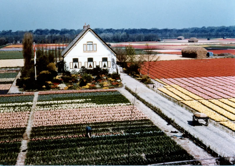 What's Happening in Holland - September