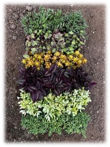 9CM Hanging Basket Assortment | 18 pcs