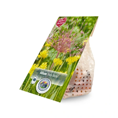 Allium Blend Holy Moly | Cappers 25 x 16 - image 3