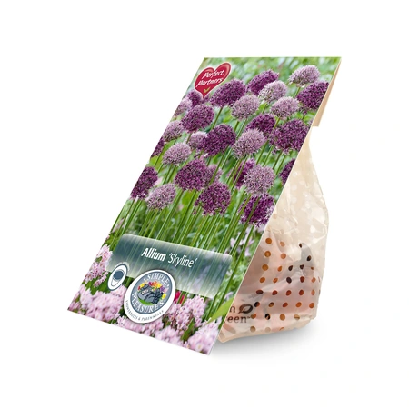 Allium Blend Skyline | Cappers 10 x 16 - image 2