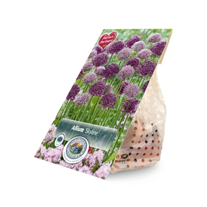 Allium Blend Skyline | Cappers 10 x 16 - image 2
