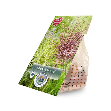 Allium Blend Spider Love | Cappers 3 x 16 - image 2