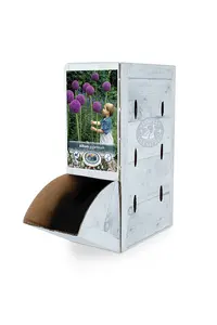 Allium Giganteum | 25 pce - image 2
