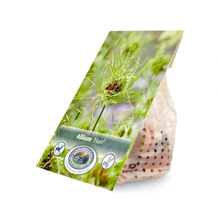 Allium Hair | Capper 20 x 15 - image 2