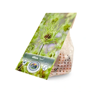 Allium Hair | Capper 20 x 15 - image 2