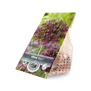 Allium Magic | Capper 16 x 5 - image 2