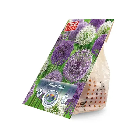 Allium Mixed | Cappers 8 x 15 - image 2
