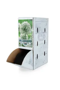 Allium Mount Everest | 25 pcs - image 2