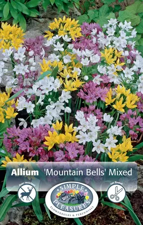 Allium Mountain Bells Mixture | Cappers 30 x 15 - image 1