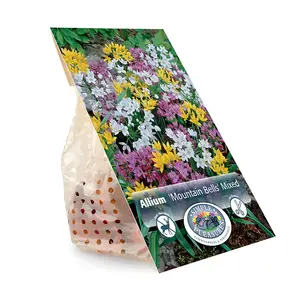 Allium Mountain Bells Mixture | Cappers 30 x 15 - image 3