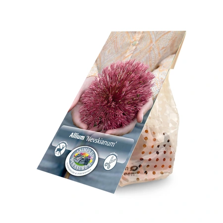 Allium Nevskianum | Cappers 2 x 20 - image 3