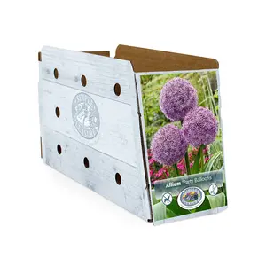Allium Party Balloons | 20 pce - image 2