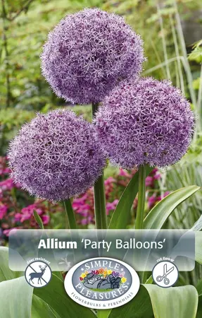 Allium Party Balloons | 20 pce - image 1