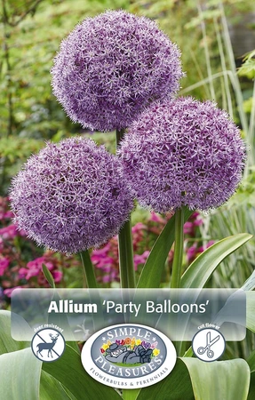 Allium Party Balloons | 20 pce - image 4