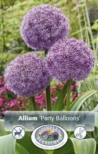 Allium Party Balloons | 20 pce - image 4