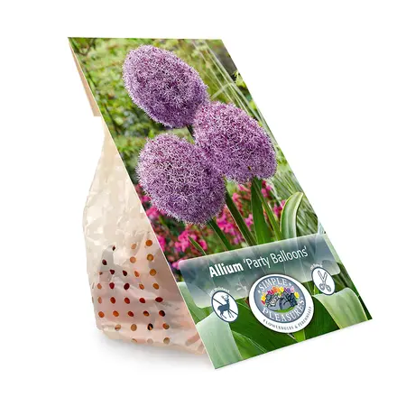 Allium Party Balloons | 20 pce - image 3