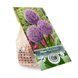 Allium Party Balloons | 20 pce - image 3