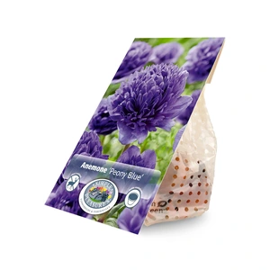 Anemone Blue | Capper 5 x 16 - image 2