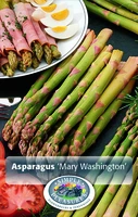 Asparagus