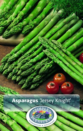 Asparagus Jersey Knight | Capper 16 x 5