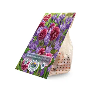 Blend Allium/Triteleia Butterfly Collector | Cappers 50 x 16 - image 2