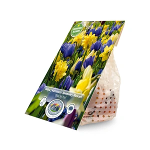 Blend Blue By You | Cappers 30 x 15 - image 2