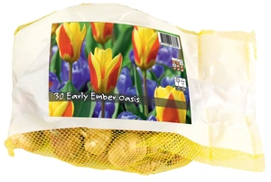 Blend Early Ember Oasis | Bags 25 x 25 - image 2