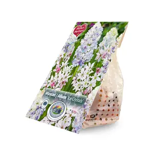 Blend Muscari & Allium Ice Crystals | Cappers 20 x 16 - image 2