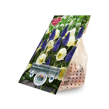 Blend Muscari/Narcissus Funky Blues Trumpets | Cappers 20 x 16 - image 2