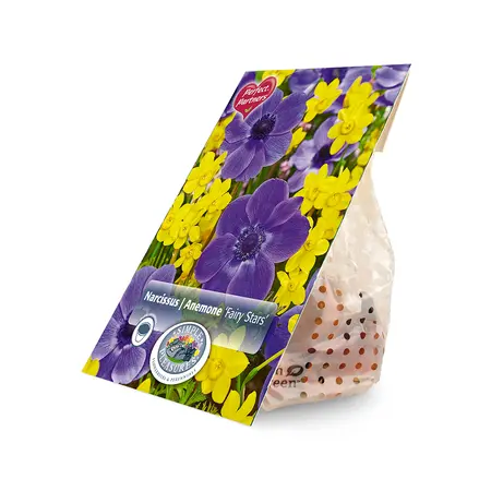 Blend Narcissus & Anemone Fairy Stars | Cappers 25 x 16 - image 2