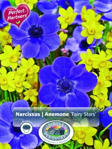 Blend Narcissus & Anemone Fairy Stars | Cappers 25 x 16